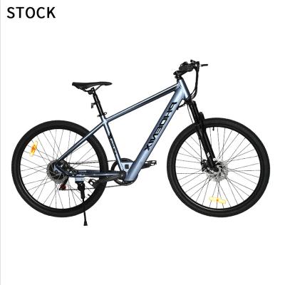 China Factory Direct Motor Power Electric Bike 1000w 48V 20ah 500w Brushless Mountain Electric Motor Wholesale High Quality Standard Bike for sale