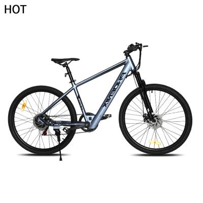 China Standard electric scooter mountain bike with 48v 350w 36v 250w rear motor power 14ah/28ah lithium battery brushless big electric bike for sale