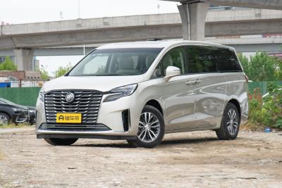 중국 MPV 부이크 Gl8 2023 랜드 비즈니스 캐빈 컴포트 에디션 8석과 수동 변속기 판매용