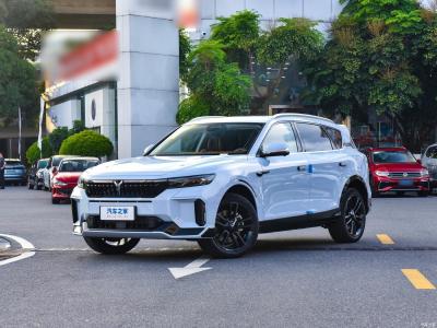 China SUV Electric Vehicle EV Voyah Free 2024 Ultra Long-Range Online/Local Customization for sale