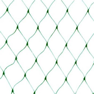 China Agricultural Mesh Garden Bird Netting Lightweight Bird Netting Extruded Anti-bird Netting for sale