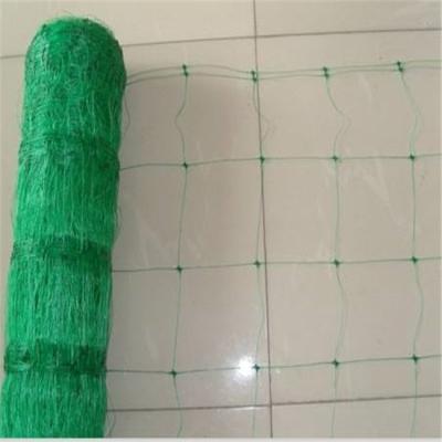 China HDPE +UV Stabilized Climbing Plants Supporting Network / Plant Support Net for sale