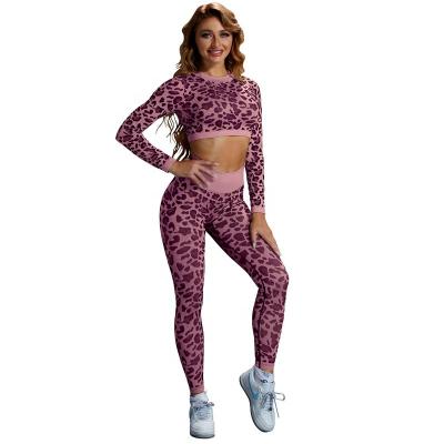 China Seamless Leopard Breathable Fashion Long Sleeve Sports Yoga Casual Knitted Running Pant Suit for sale