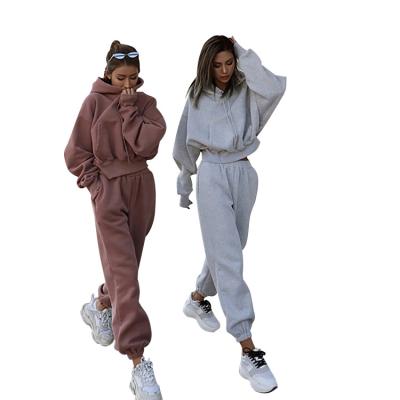 China Custom 2 Piece Women's Gym Jumper Jogger Winter Autumn Anti-Pilling Workout Set Top Crop Hoodie Women Oversized Sweatshirt for sale