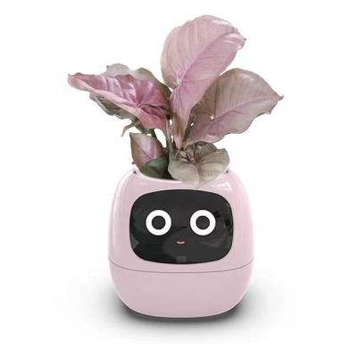 China Modern drain fabric lua mini ai sensor interaction facial water dongguan ivy e live technology cute pet smart flower pot planter for sale