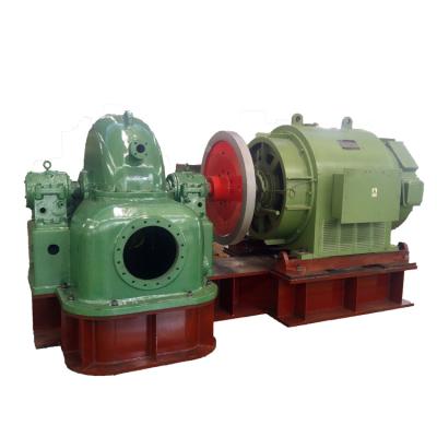 China Single Nozzle Vertical Pelton Turbine Micro Mini Small Water Francis Pelton Turgo Kaplan Hydro Hydraelectric Turbine Per for sale