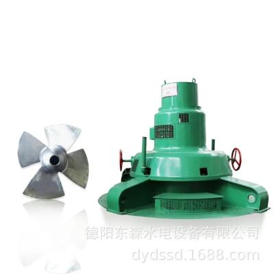 China 200kw verticale Lage Hoofd Hydroturbine Horizontale Hydroturbine 13m Hoofd Te koop