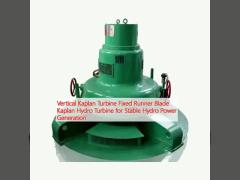 Vertical Kaplan Turbine Fixed Runner Blade Kaplan Hydro Turbine for Stable Hydro Power Generation