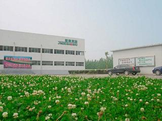 Verified China supplier - Jinxiang Golden Profit Food Co., Ltd.