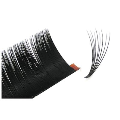 China Eyelash Factory Volume Lash Extension No Glue Residue Tapered Easy Fan Eyelash Extensions for sale