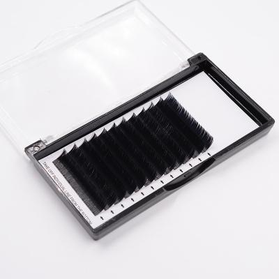 China PBT Cashmere Eyelash Extension Korean Silk Double Split Ellipse Flat Tips Eyelash Extension Supplies for sale