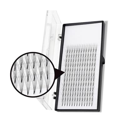 China Classic Wider High Quality Tapered Pre-made Medium Fan Eyelash Extension Strip Root Strip Eyelash Fan for sale