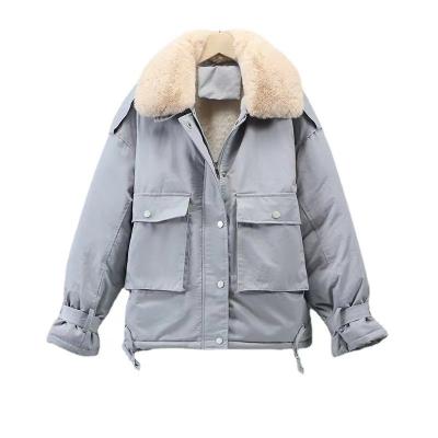 China Anti-wrinkle Pai Overcomes Winter New Casual Women's Cotton Suit Loose Women's Jacket Plus Size Women's Wear for sale