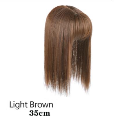 China Silky Straight Wave Highly Enjoyed Light Brown Long Straight Hair Wigs for sale