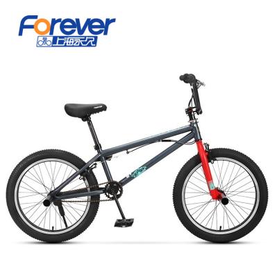 China Factory direct supply steel forever 20 inch carbon mtb bmx sports bike bycicle mountain bike for sale