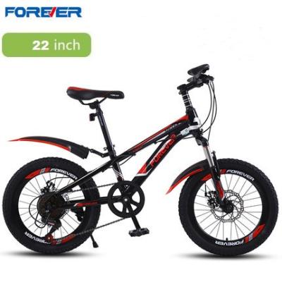 China Good Quality Steel Forever 22 Inch Children's Bicycle Different Color Children's Mountain Bike for sale