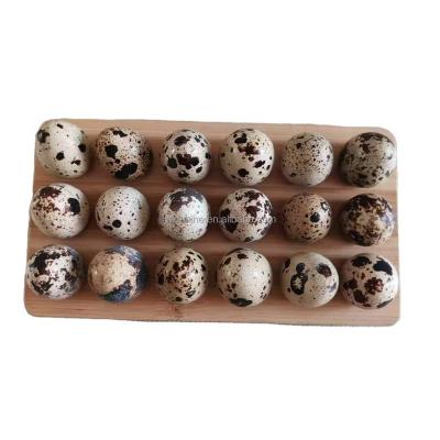 China Europe Eco - Friendly Wooden Quail Egg Tray For 18 Quail Eggs for sale