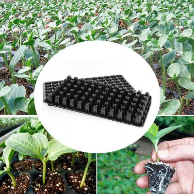 China PS 32 72 98 128 Cell OEM Plant Seedling Starter 50 200 Cell Socket Tray For Sale for sale