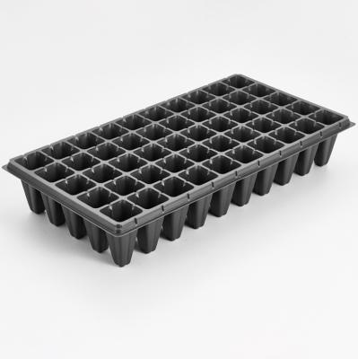 China PS XTB50 50 Holes Plastic Seed Growing Tray Made In China Seed Cell Socket Tray Manufacture 50 Holes Sowing Trays for sale