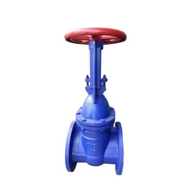 China Factory direct sales are large congyou gray cast iron double gate gate valve for sale