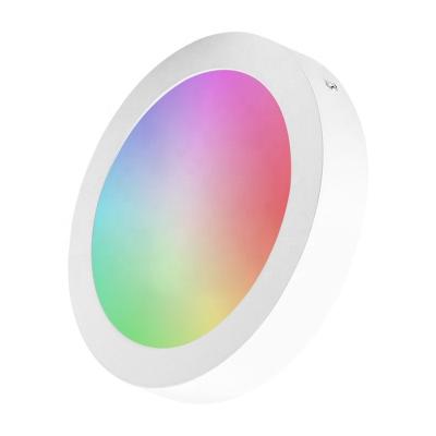 China Modern Round LED Smart Wifi Tuya APP Control 6W 12W 18W 24W LED Smart Outdoor Mounted Panel Light for sale