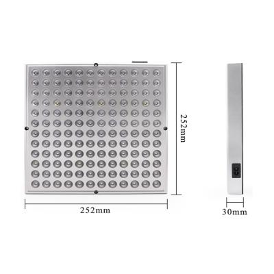 China Seed Starting NEW Full Spectrum 2000W / 8000W LED Grow Light For Plants Indoor Lamp 2835 Seed Grow Lamp Tent Fitolampy Phyto Grow Lighting for sale