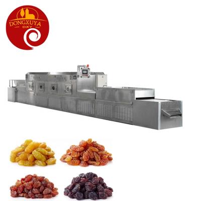 China Medicine Processing Microwave Wind Turbine 10KW System Drier Grape Dehyderation for sale