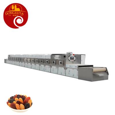 China High Efficiency Low Cost Reasonable Price Fruit Nuts Pistachios Raisin Microwave Microwave Drying Baking Machine for sale