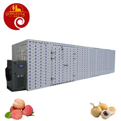 China Medicine Processing Lychee Longan Dryer Large Scale Hot Air Drying Equipment for sale