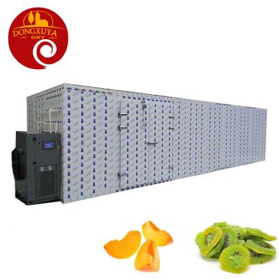 China Medicine Processing Peach Kiwi Fruit Dryer Industrial Heat Pump Drying Machine for sale