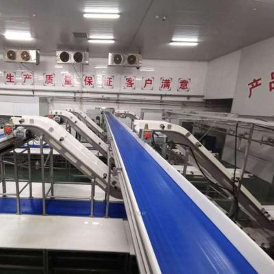 China High efficiency factory price cheap chicken processing with manufacturer price for sale