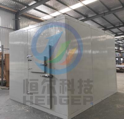 China Container Fish Storage Cold Room Fruit Cold Storage Cold Room Cold Room Swing Door for sale