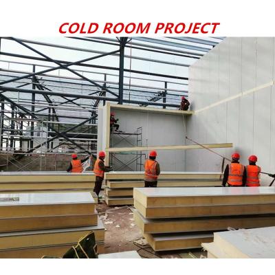 China Thermal Insulated Polyurethane Cold Storage Room Panel Cold Room Panel With Cam Lock Panel for sale