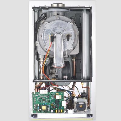 China Household 108% Full Premix Condensing Gas Boiler For Home Heating And Hot Water Manufacturer Since 2005 for sale