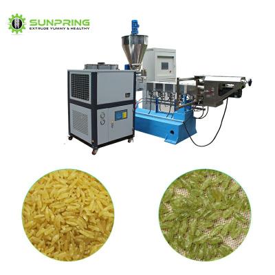 China Best Price Food Processing Machine Price Enriched Nutrition Rice Machinery Make Rice Enriched Nutrition Rice Machinery for sale