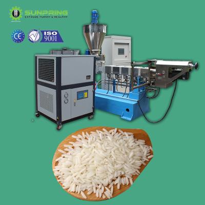 China SUNPRING Food Processing Machine SUNPRING Artificial Rice Mold Rice Extruder 70 Gear Box for sale