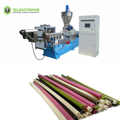 China food & Beverage factory SUNPRING rice straw machine rice straw machine extruder rice drink straw make machin for sale