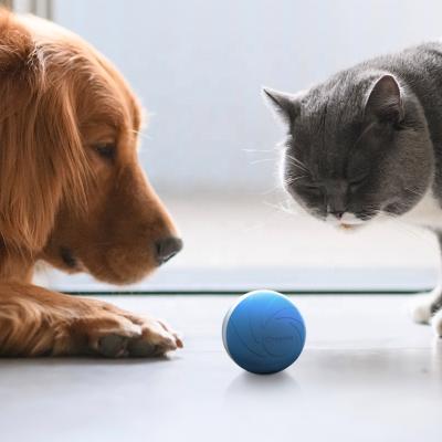 Κίνα Viable Fast Shipping Smart Interactive Electric Round Dog Toy Automatic Wickedball προς πώληση