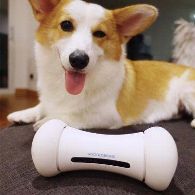 China Factory Direct Selling Sustainable Design New World's First Automatic Smart Dog Interactive Pet Toys Supplier Wickedbone en venta