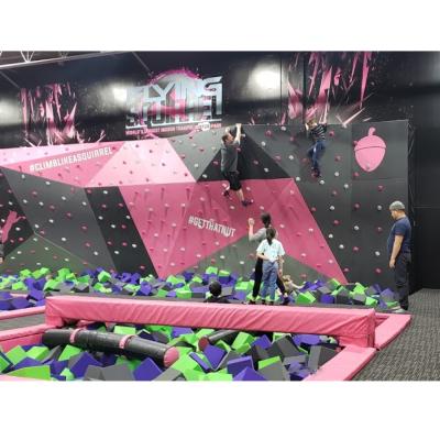 China With Protective Net Playground Sponge Instagramable Bungee Equipment Amusement Park Trampoline Adult Park Kids for sale