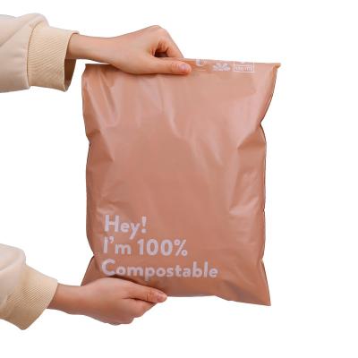 China Strong Eco Friendly Brown Custom Suit Compostable Adhesive Poly Ads for sale