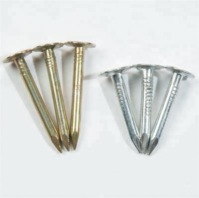 China High Quality Flat Steel Felt Nails Manufacturer In China for sale