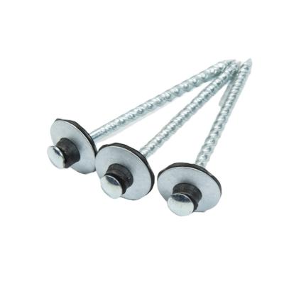 China China Factory Flat Galvanized Roofing Screw Nails for sale