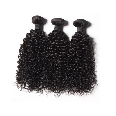 China Can be dyed and curly virgin natural unprocessed afro kinky curly hair changed the hair design 100% high quality mongolian hair for sale