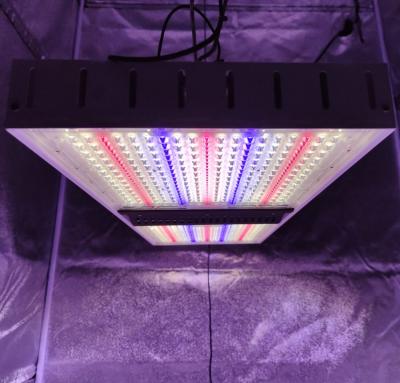 China Newly Produced Full-spectrum Garden Medicinal Plant Growth Greenhouse Led Light for sale