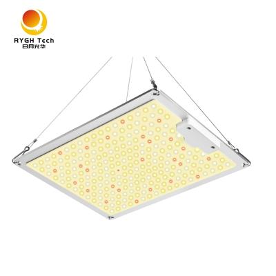 중국 Indoor 100W 0-10V Grow Light Panel Dimming Panel LED Plant Grow Light 판매용