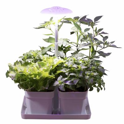 China DC 12V 24V home decoration 4 cups home kitchen homejoy herb garden pot spotlight 20W hydroponic mini indoor garden planter smart for sale