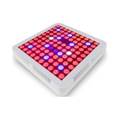 China Led Grow Full Spectrum LED Grow Light Hydroponic 300w Led Grow Lighting With Tming Function for sale