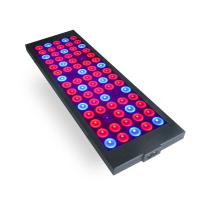 China Aluminium Indoor Greenhouse Full Spectrum red blue ratio 40W/300W LED Grow Lighting For Indoor Plants for sale