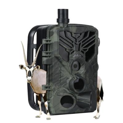 China Other Infrared Outdoor Solar Powered Night Vision 20MP Digital Animal Trail Hunting Camera 1080P Resolution for sale